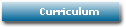 Curriculum