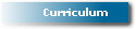 Curriculum